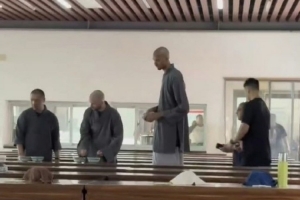 帕金斯：文班会像狼一样行动 不知道他和那些僧侣学到了什么_24直播网